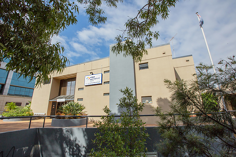 Vision �ǻ����������ӽ�